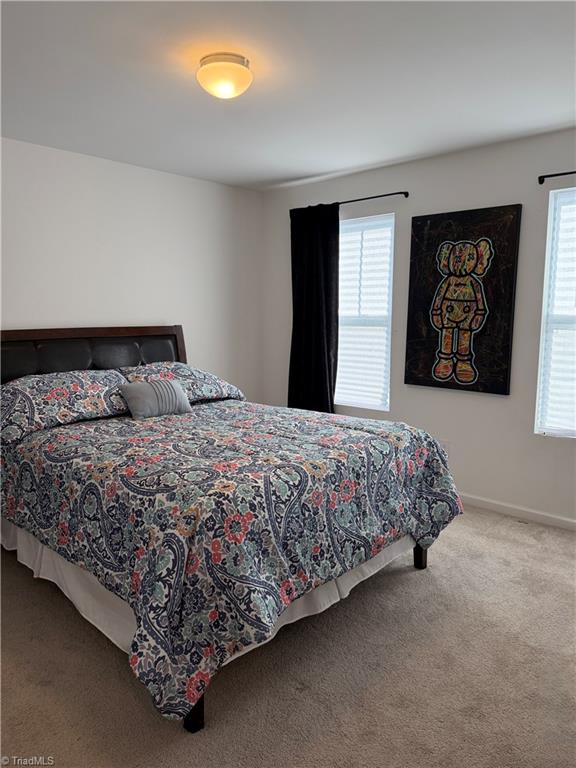 2909 Dexterity Court Property Photo 13