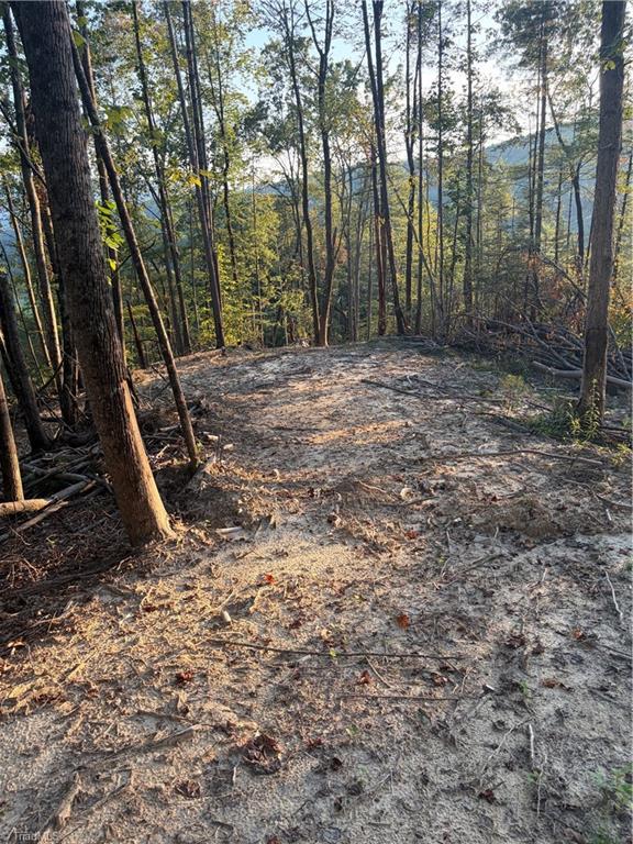 Tbd Lot 2 Old Nc Highway 16 Property Photo 1