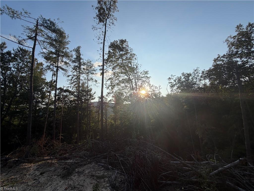 Tbd Lot 2 Old Nc Highway 16 Property Photo 2