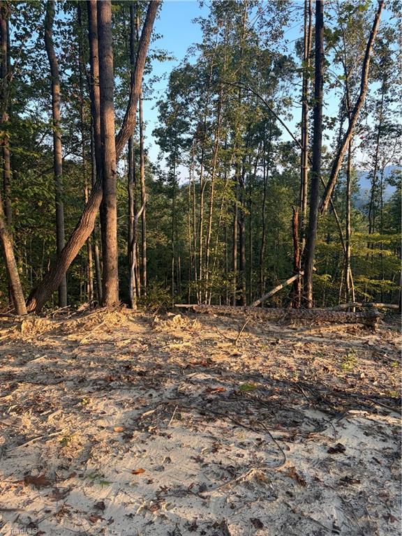 Tbd Lot 2 Old Nc Highway 16 Property Photo 3