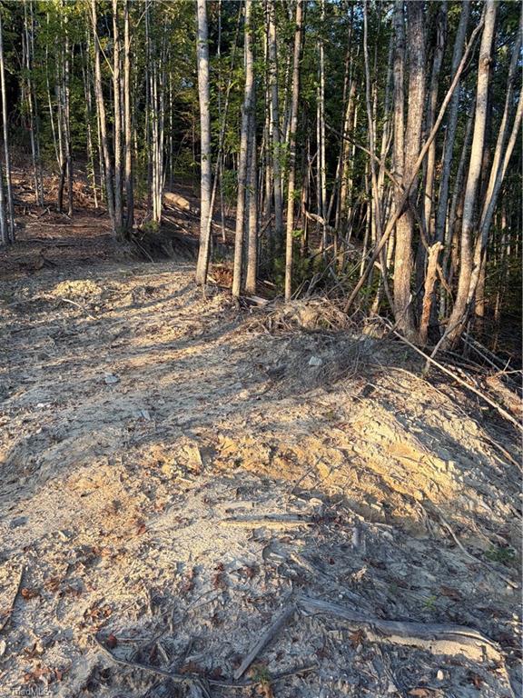 Tbd Lot 2 Old Nc Highway 16 Property Photo 5