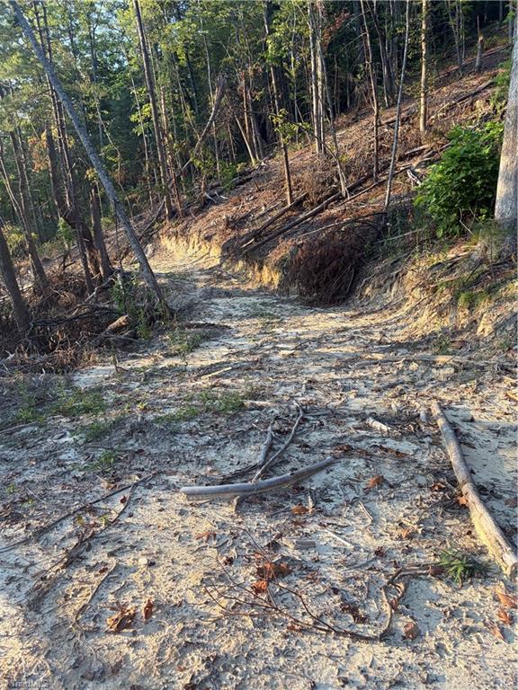 Tbd Lot 2 Old Nc Highway 16 Property Photo 6