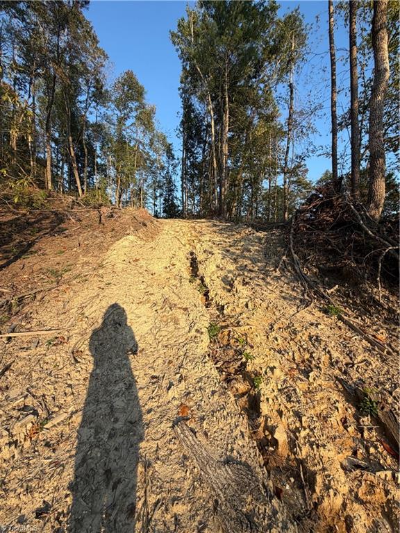 Tbd Lot 2 Old Nc Highway 16 Property Photo 7