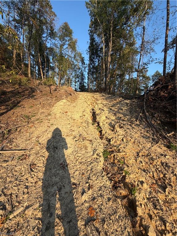Tbd Lot 2 Old Nc Highway 16 Property Photo 8