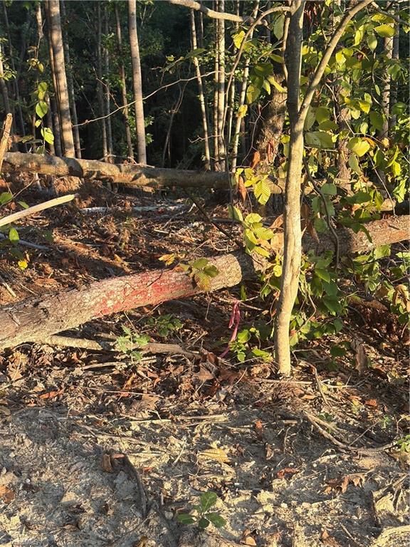 Tbd Lot 2 Old Nc Highway 16 Property Photo 9
