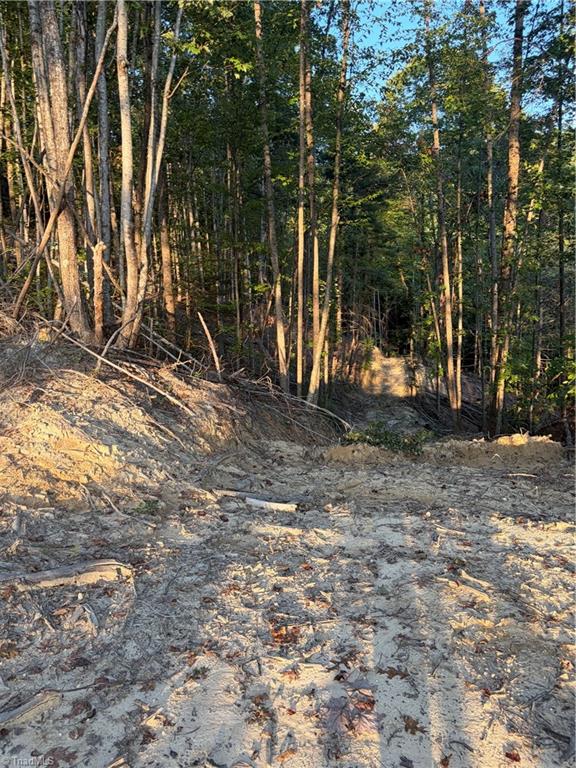 Tbd Lot 2 Old Nc Highway 16 Property Photo 12