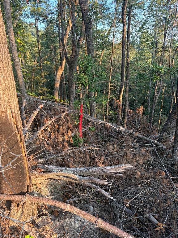 Tbd Lot 2 Old Nc Highway 16 Property Photo 14