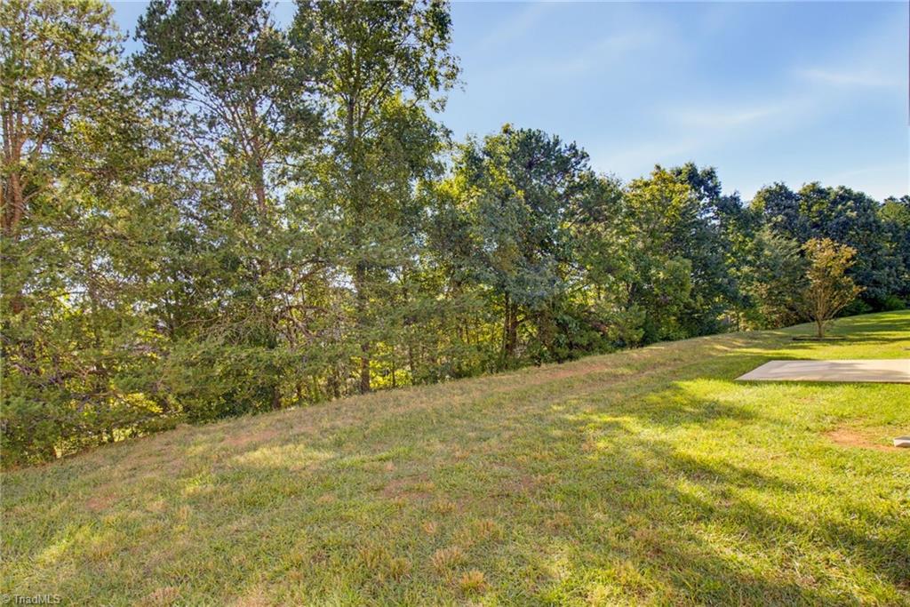 15 Harvest Oak Court Property Photo 28