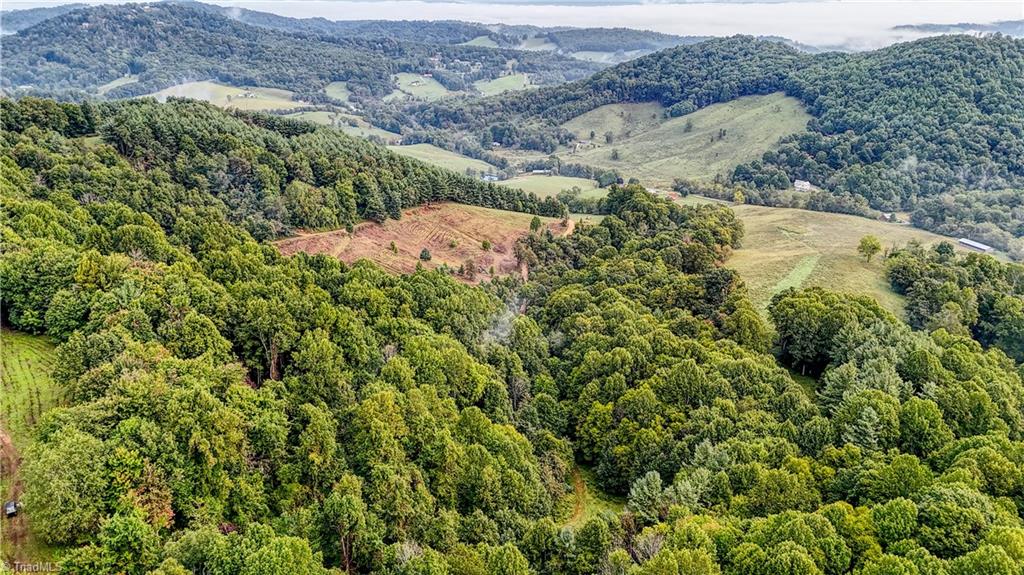 00 Lot 106 Irwin Grocery Road Property Photo 1