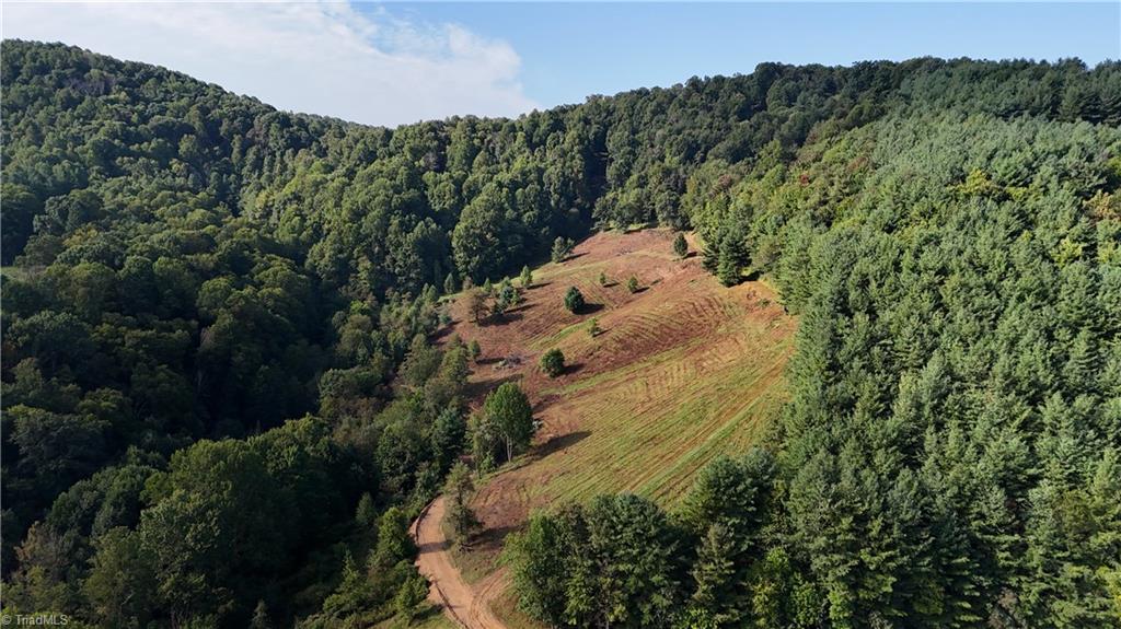 00 Lot 106 Irwin Grocery Road Property Photo 2