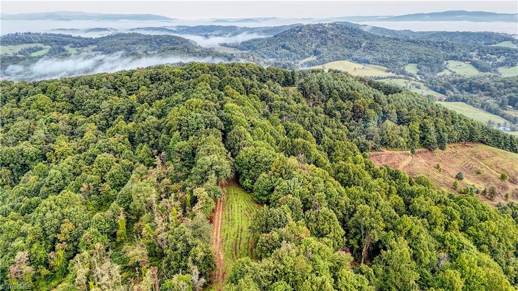 00 Lot 106 Irwin Grocery Road Property Photo 3