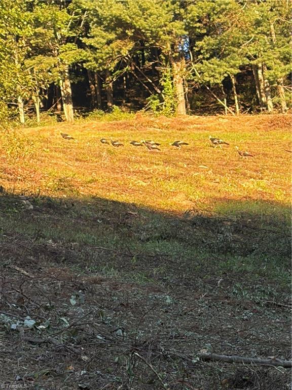 00 Lot 106 Irwin Grocery Road Property Photo 7