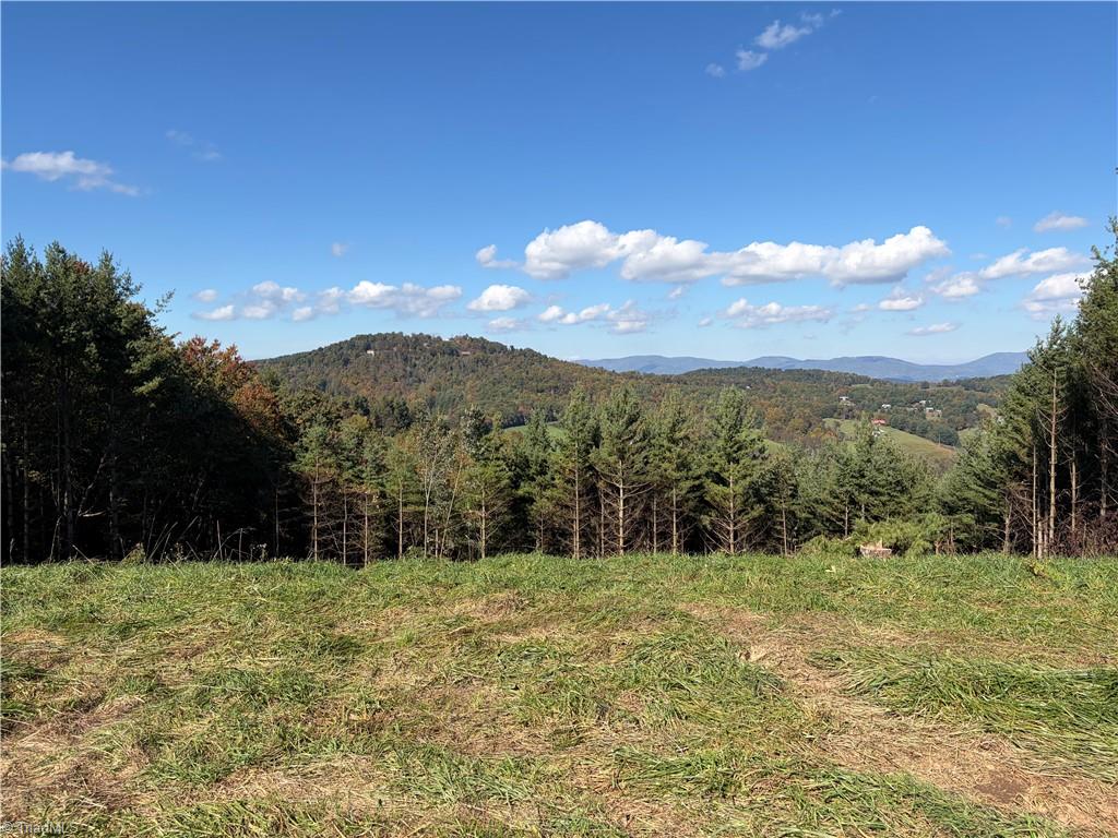 00 Lot 19 New Hope Church Road Property Photo 2