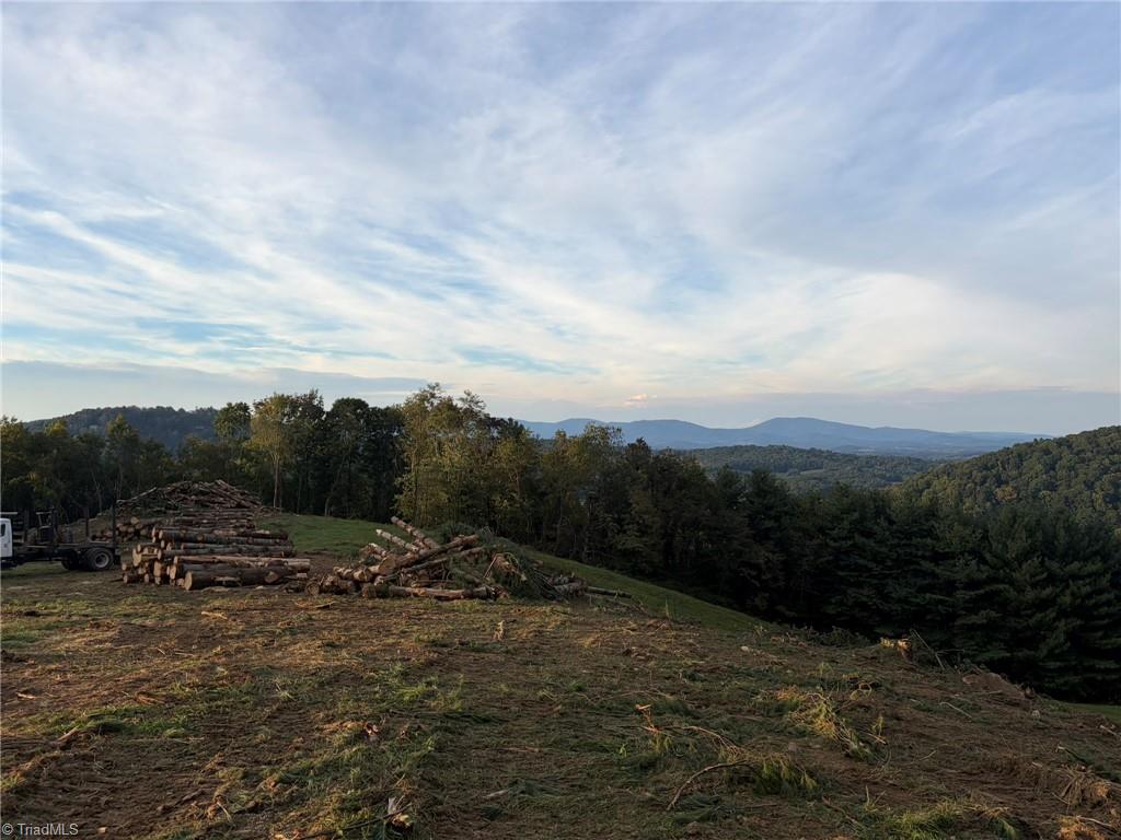 00 Lot 19 New Hope Church Road Property Photo 15