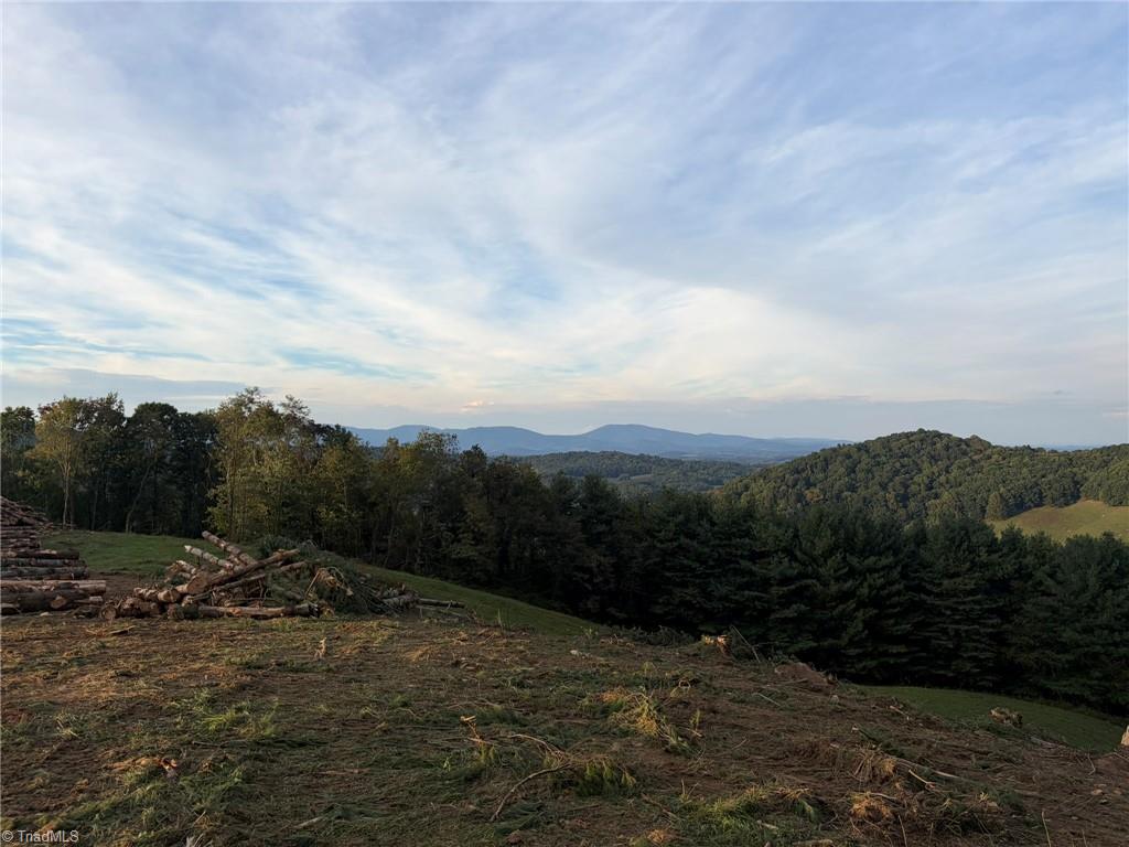00 Lot 19 New Hope Church Road Property Photo 16