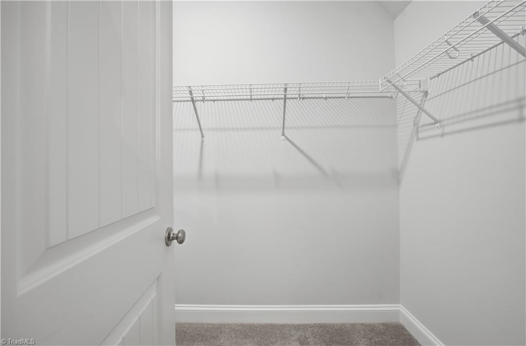 4091 Stallion Street Property Photo 28