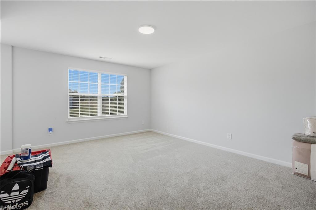 4091 Stallion Street Property Photo 34