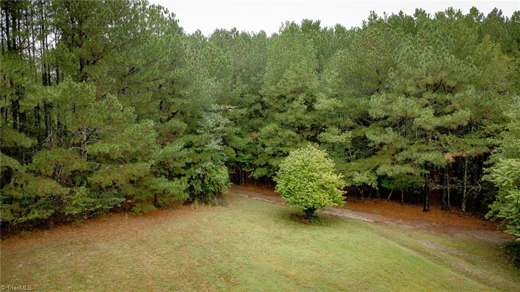 1256 Terry Road Property Photo 24