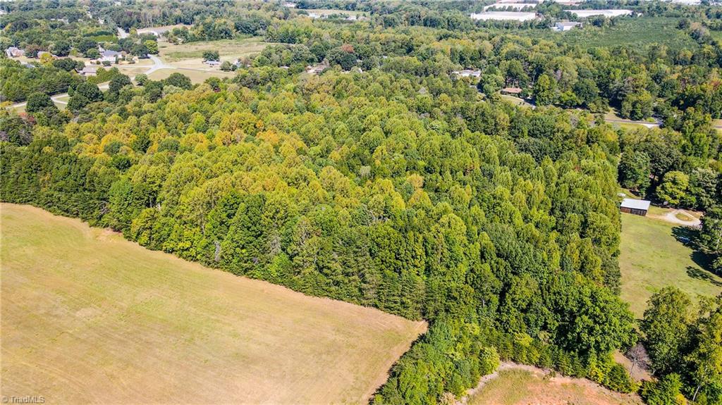 8113 Thorndike Road Property Photo 4