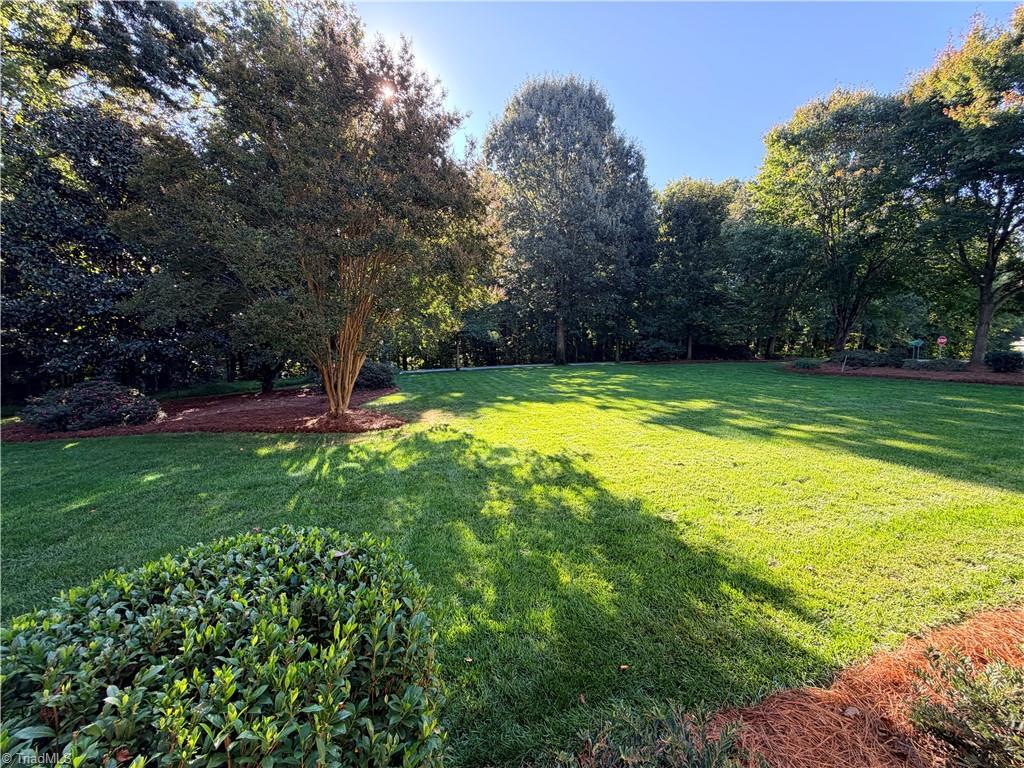 1242 Blackberry Ridge Road Property Photo 4