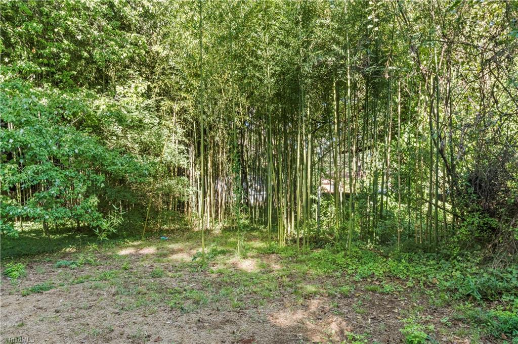 521 Bridges Drive Property Photo 17