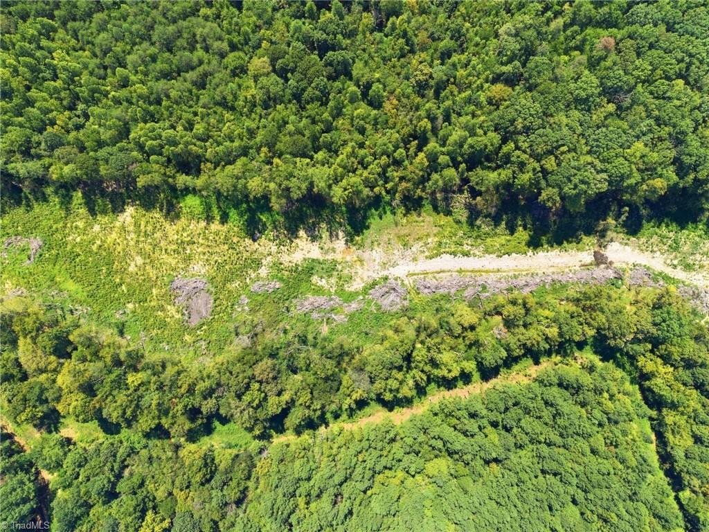 507 Birch Creek Road Property Photo 6