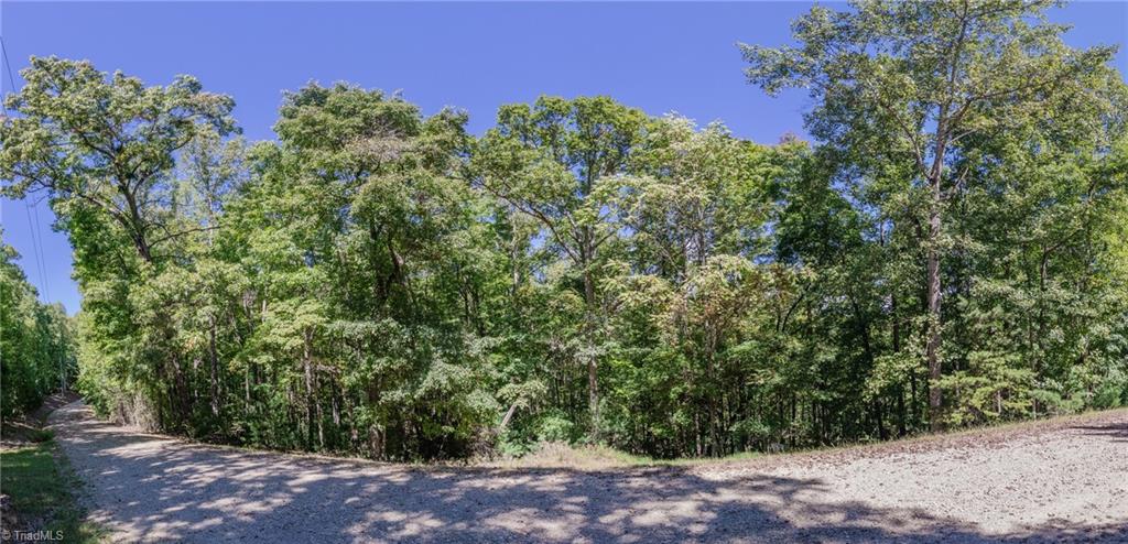 00 Sutters Ridge Road Property Photo 2