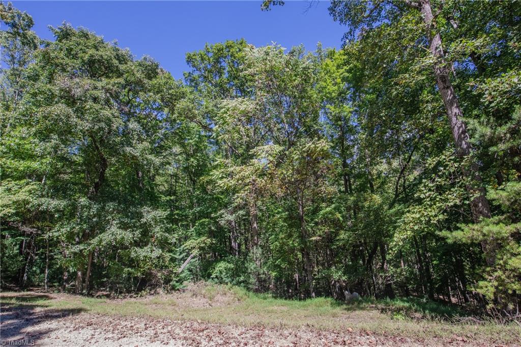 00 Sutters Ridge Road Property Photo 12