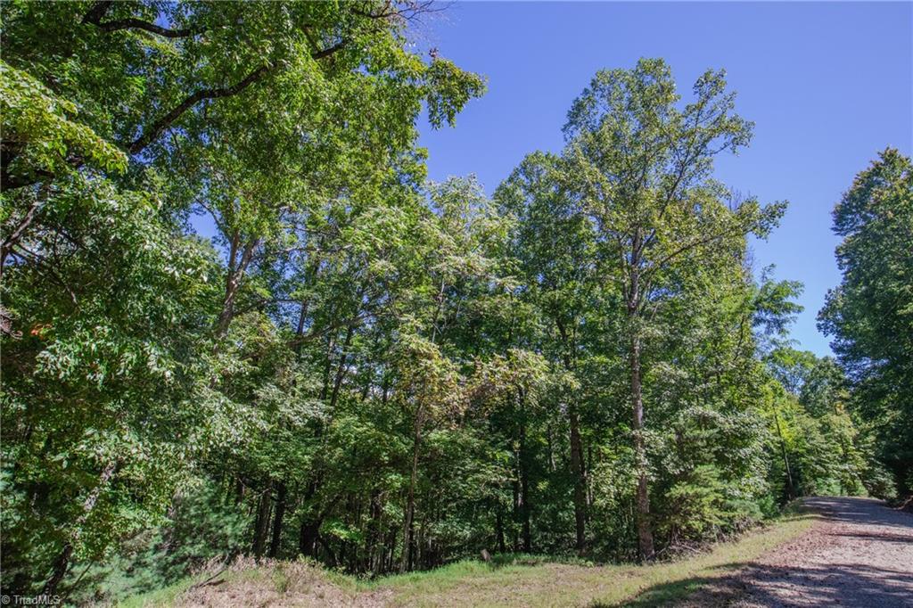 00 Sutters Ridge Road Property Photo 14