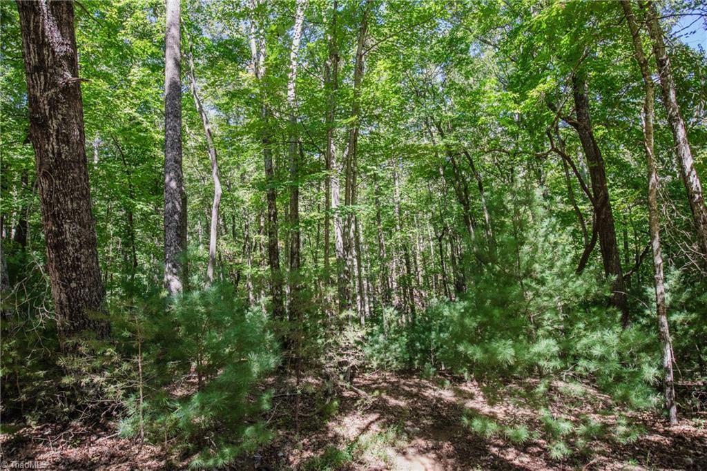 00 Sutters Ridge Road Property Photo 15
