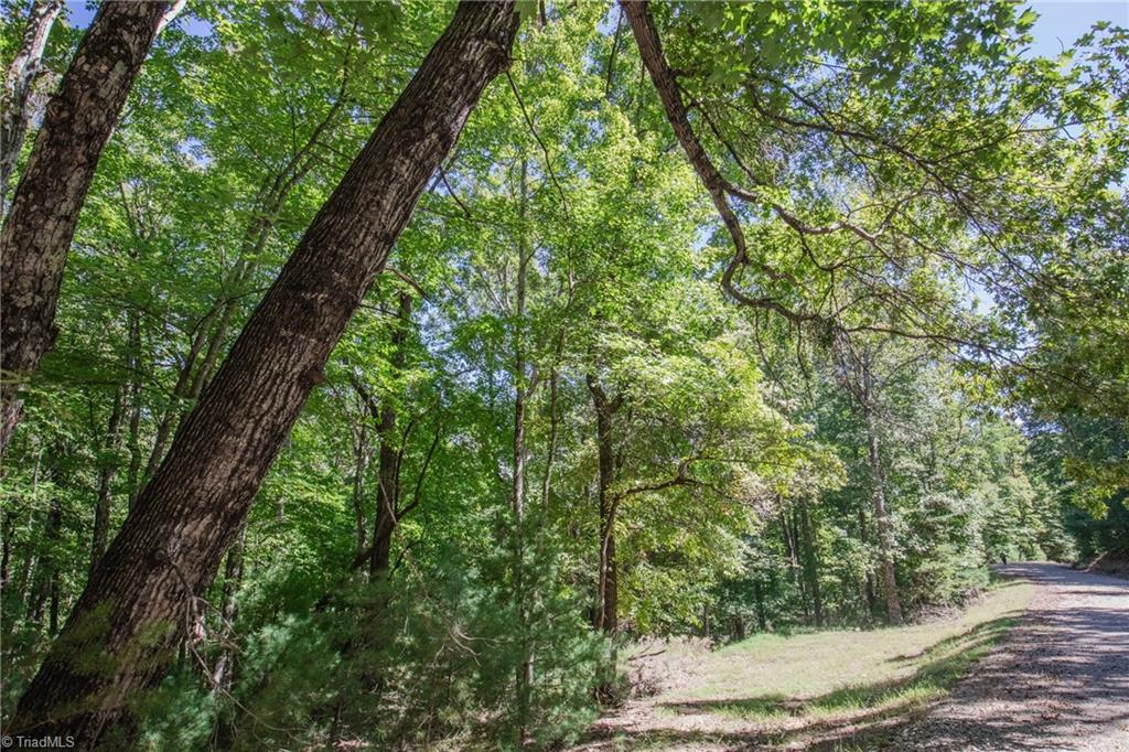 00 Sutters Ridge Road Property Photo 16