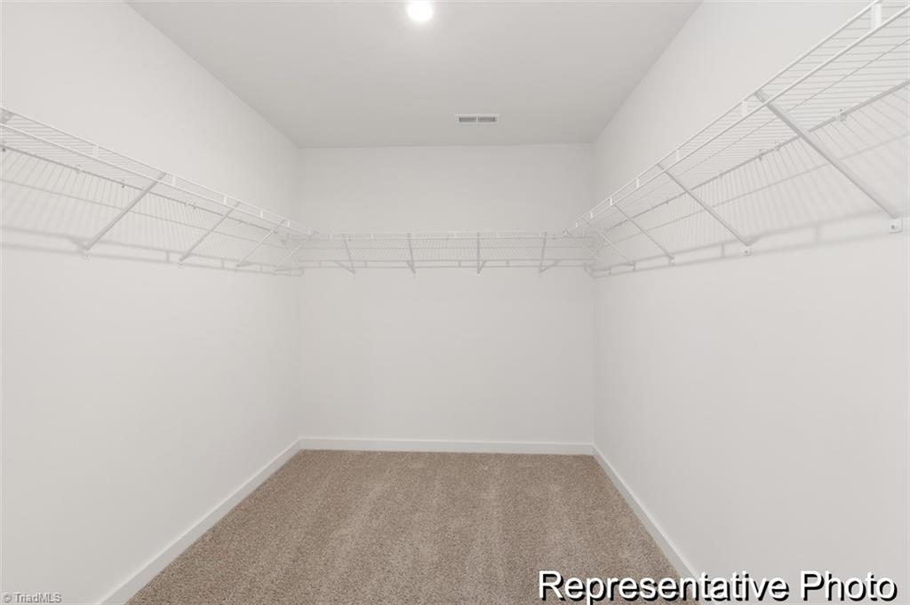 4921 Reedy Creek Farm Circle # 586 Property Photo 23