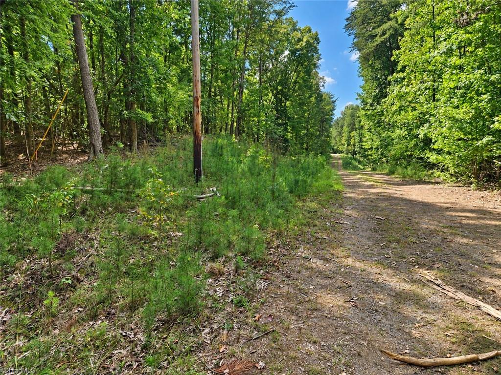 236 Sugar Loaf Road Property Photo 2