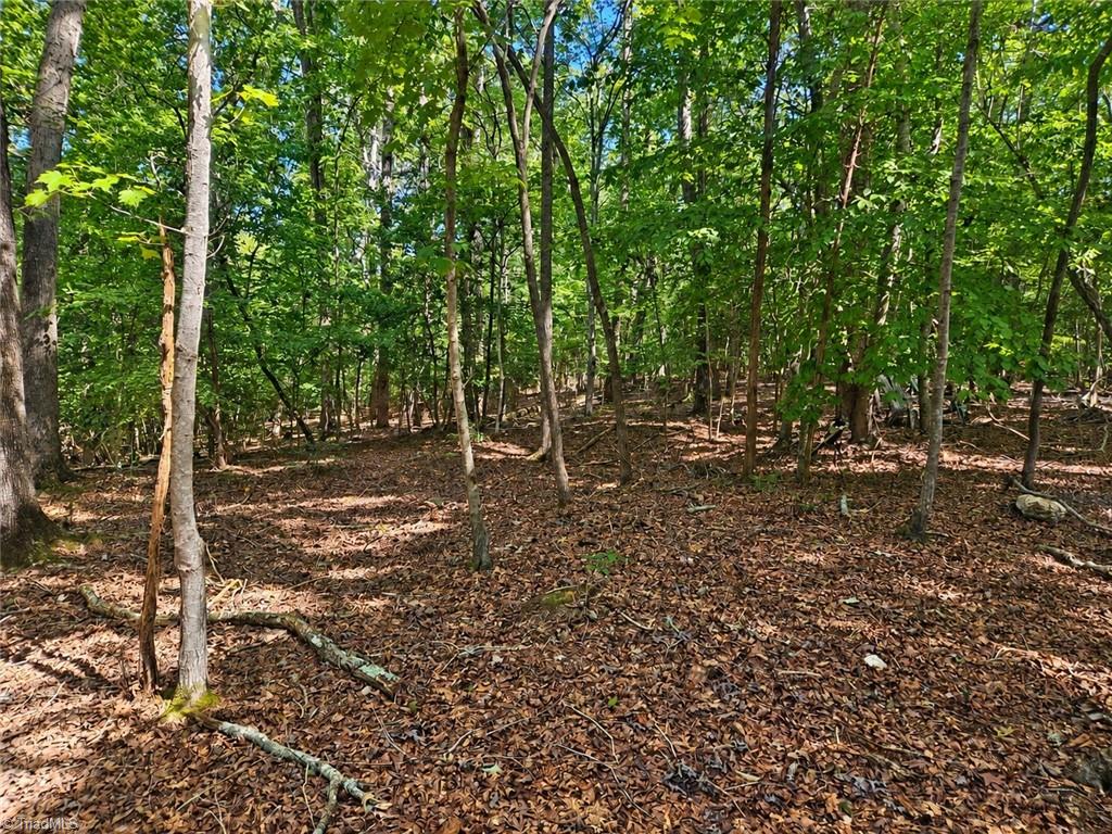 236 Sugar Loaf Road Property Photo 3