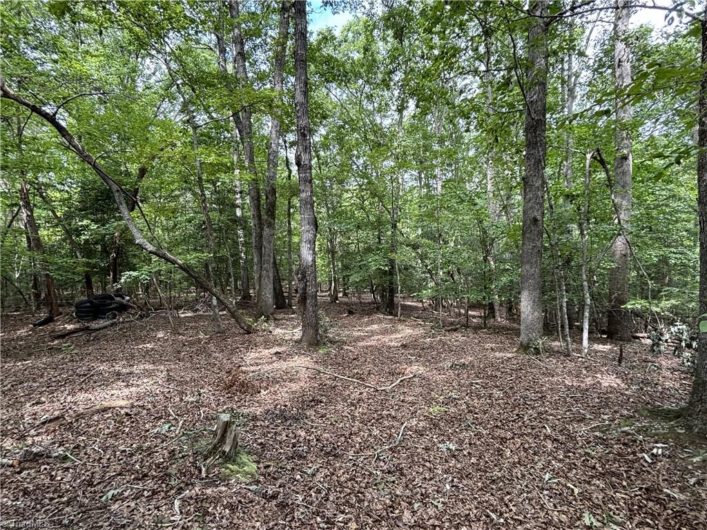 236 Sugar Loaf Road Property Photo 4
