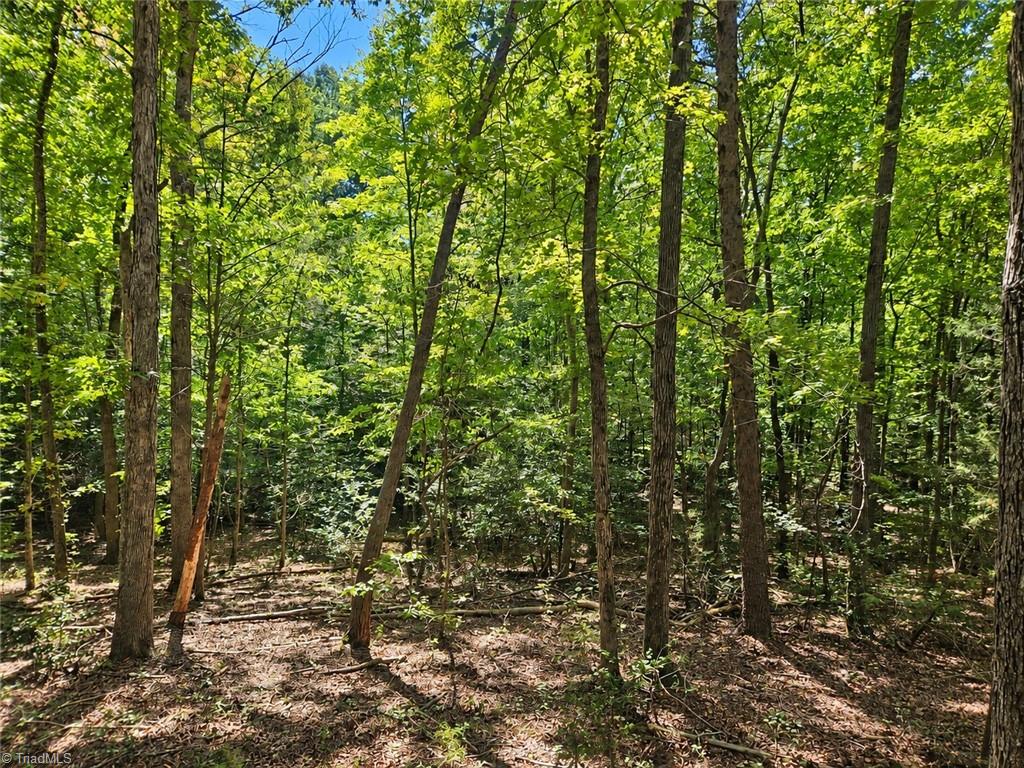 236 Sugar Loaf Road Property Photo 8