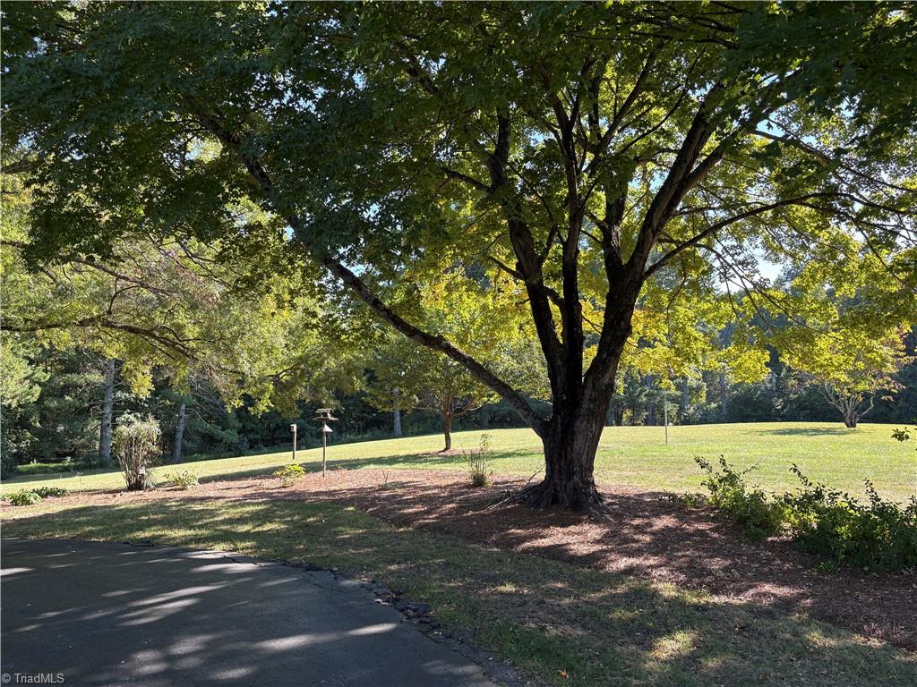500 Shamrock Road Property Photo 36