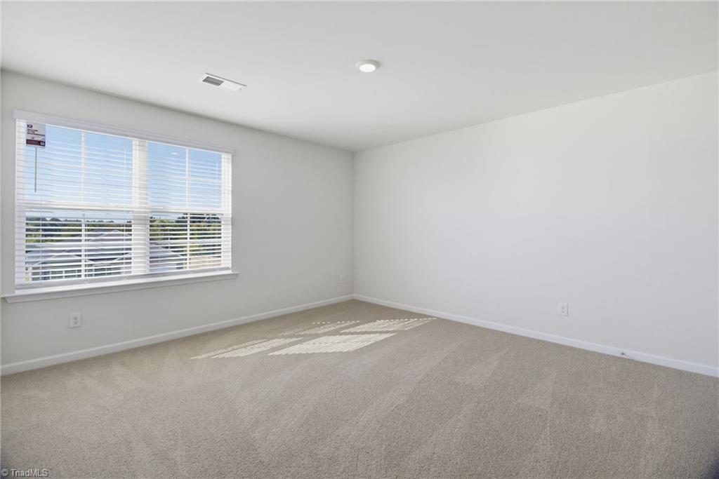 222 Sadie Mae Drive Property Photo 25