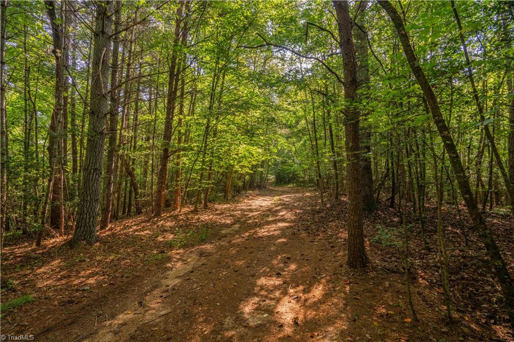 Tbd Beacon Lane Property Photo 5