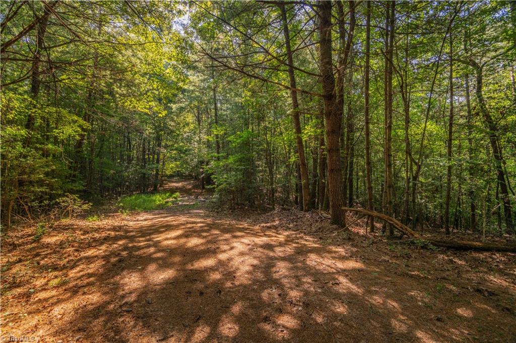 Tbd Beacon Lane Property Photo 6
