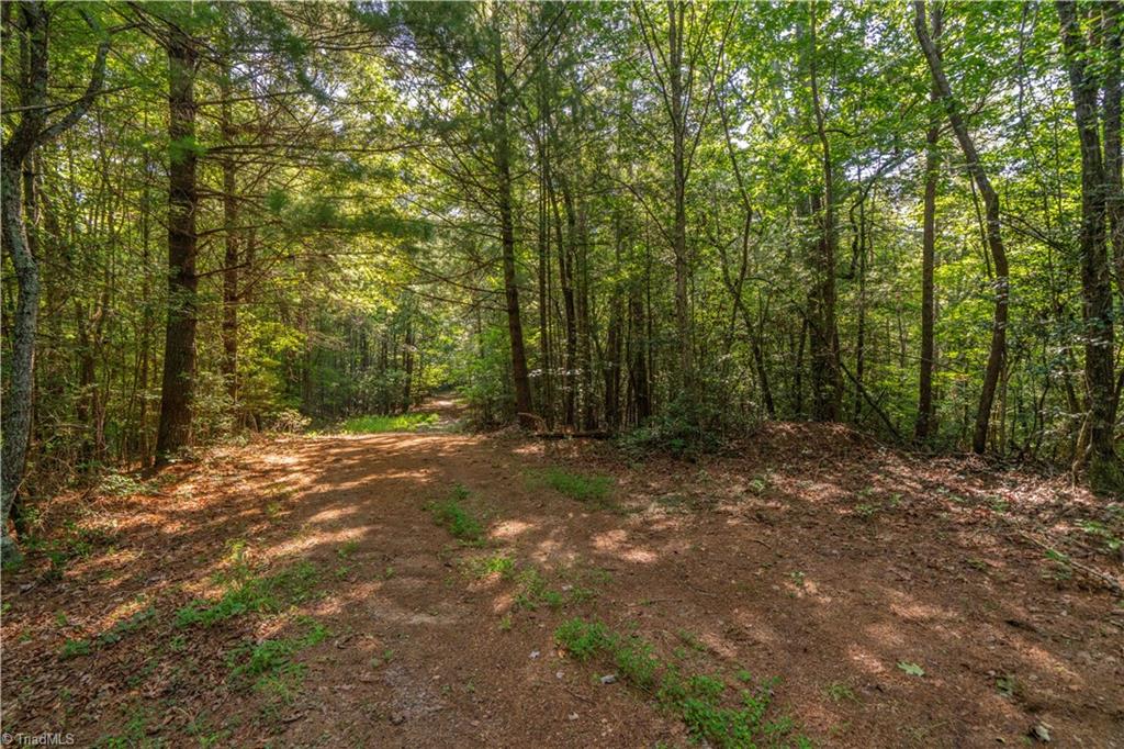 Tbd Beacon Lane Property Photo 7