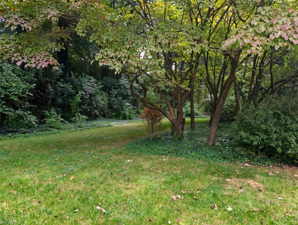 2443 Greenwich Road Property Photo 17