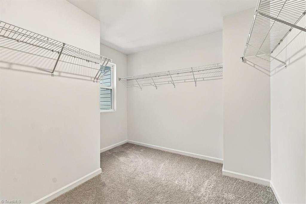 8907 Cranesbill Avenue Property Photo 28