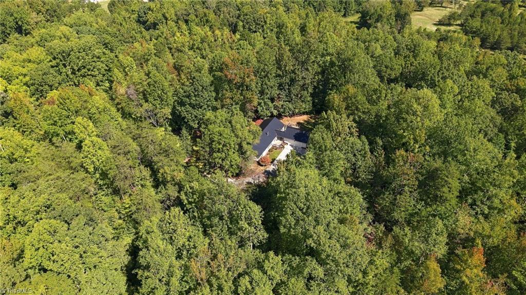 499 Sandy Creek Lane Property Photo 12