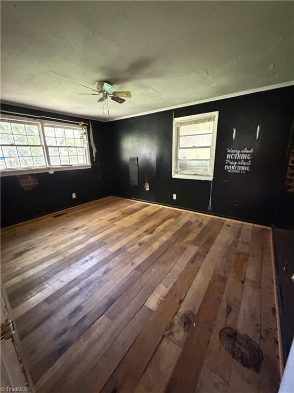209 Hoyle Drive Property Photo 17