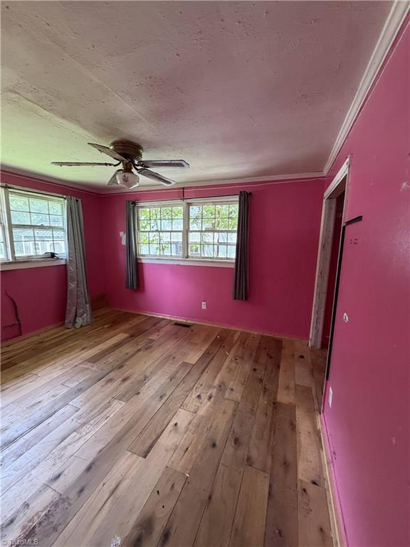 209 Hoyle Drive Property Photo 19