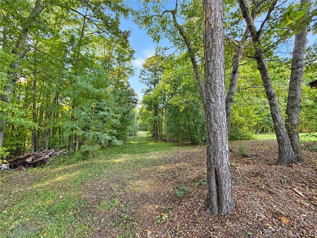 158 Border Lane Property Photo 5