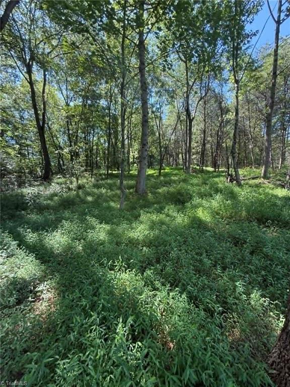 2625 Sprouse Road Property Photo 11