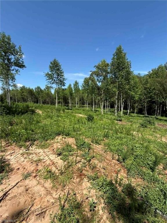 2625 Sprouse Road Property Photo 12