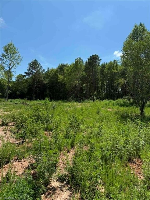 2625 Sprouse Road Property Photo 15